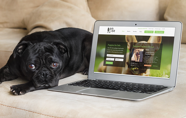 New Website Launch – Pickapup.com