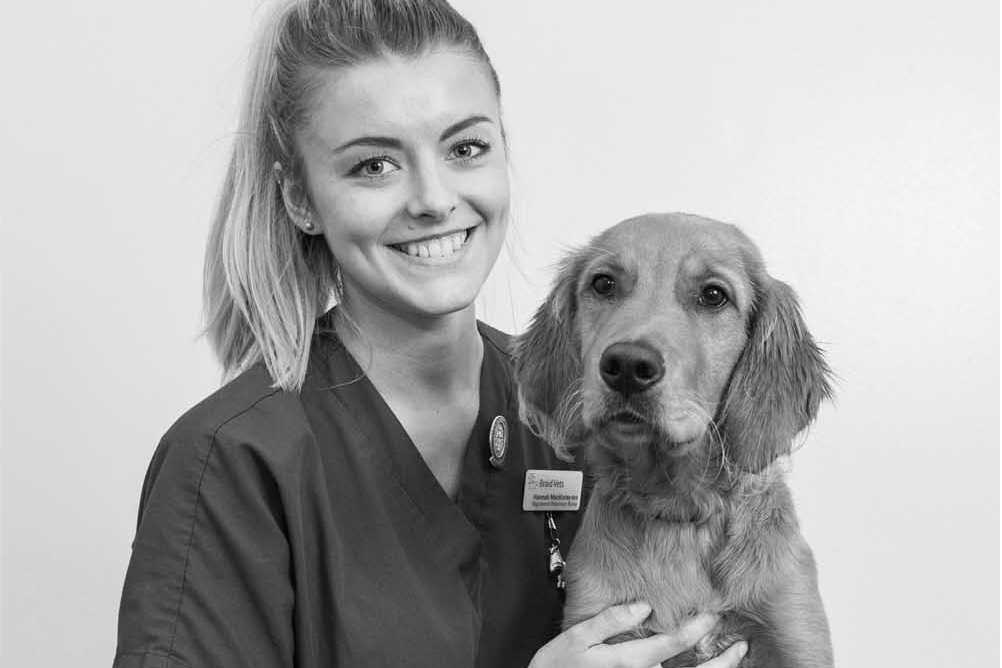 VetPartners