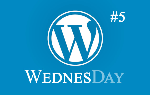WordPress Wednesday #5 – Custom Fields