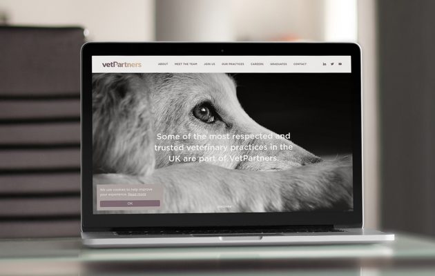 New Website Launch – VetPartners